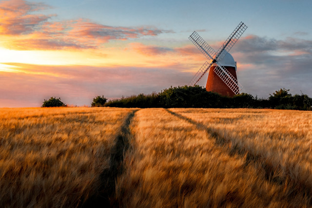 Windmill wheat field sunset trail free wallpaper for desktop - medium preview image