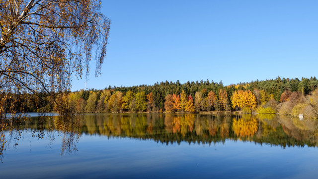 Autumn lake forest impressionist sunset free wallpaper for desktop - medium preview image