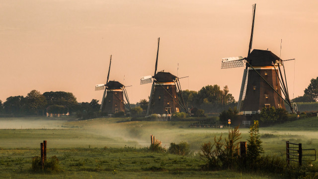 Windmills fog trees dusk landscape free wallpaper for desktop - medium preview image