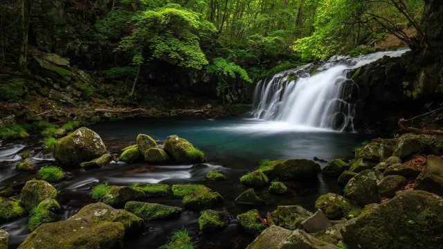 Waterfall forest mossy rocks stream #6 free wallpaper for desktop - medium preview image