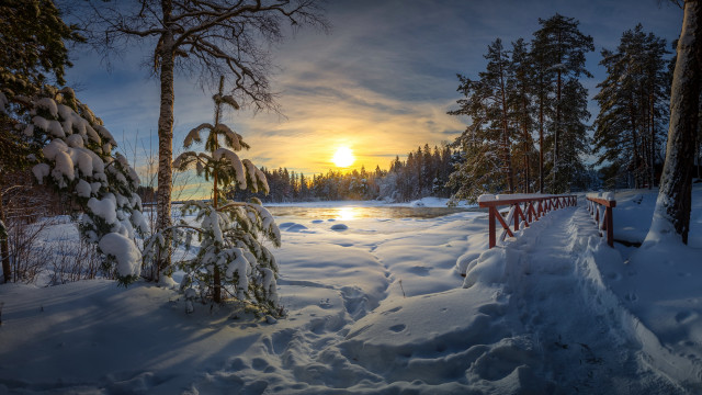 Snowy path lake sunset forest free wallpaper for desktop - medium preview image