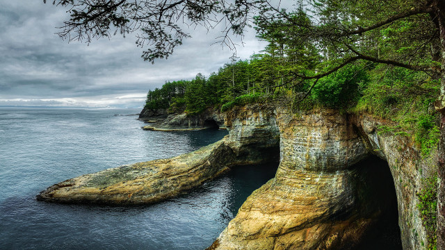 Cliff water forest matte painting free wallpaper for desktop - medium preview image