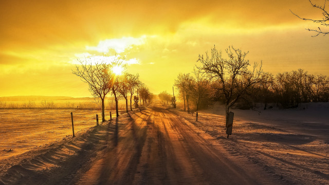 Snowy road trees sunset clouds free wallpaper for desktop - medium preview image