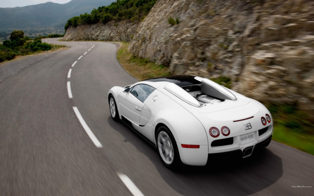 White bugatti mountain road forest free wallpaper for desktop - medium preview image