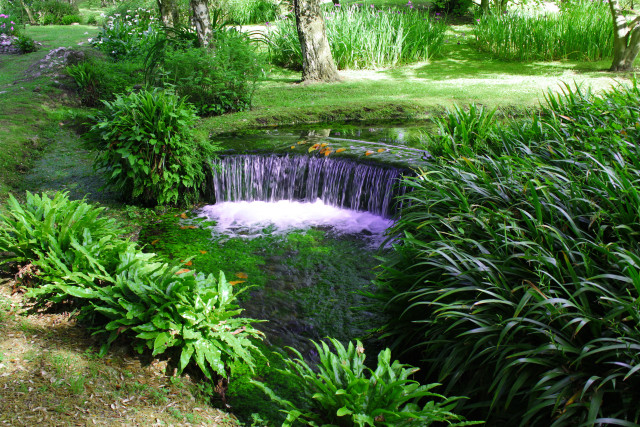 Small waterfall garden pond plants free wallpaper for desktop - medium preview image