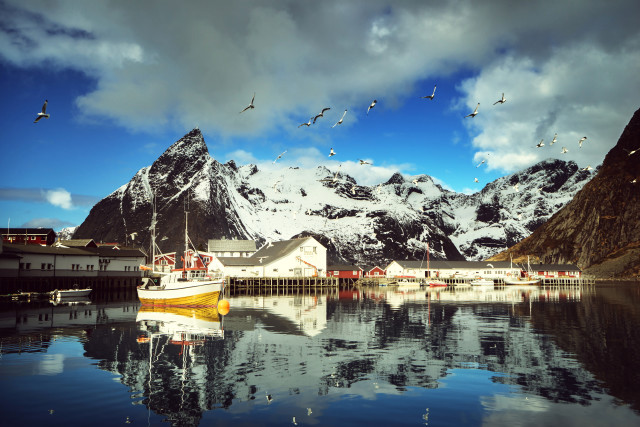 Harbor mountains birds sky boat free wallpaper for desktop - medium preview image
