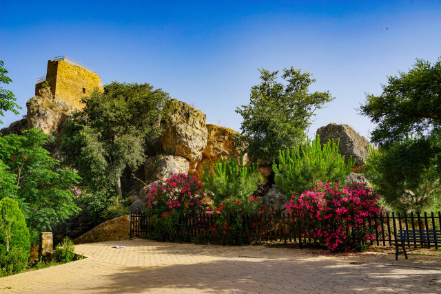 Park stonewall fence flowers rockwall free wallpaper for desktop - medium preview image