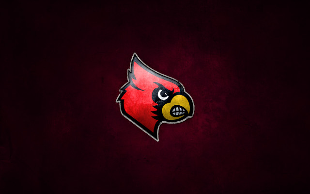 Cardinal head red black background free wallpaper for desktop - medium preview image