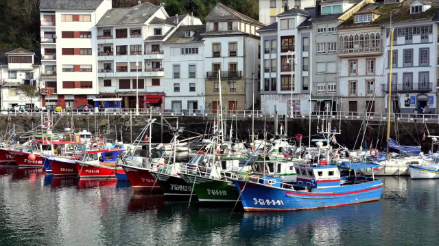 Boats harbor cityscape bridge buildings free wallpaper for desktop - medium preview image