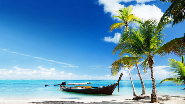 Boat beach palm trees blue #4 free wallpaper for desktop - medium preview image