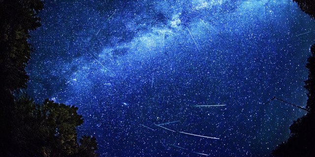 Night sky shooting star trees free wallpaper for desktop - medium preview image