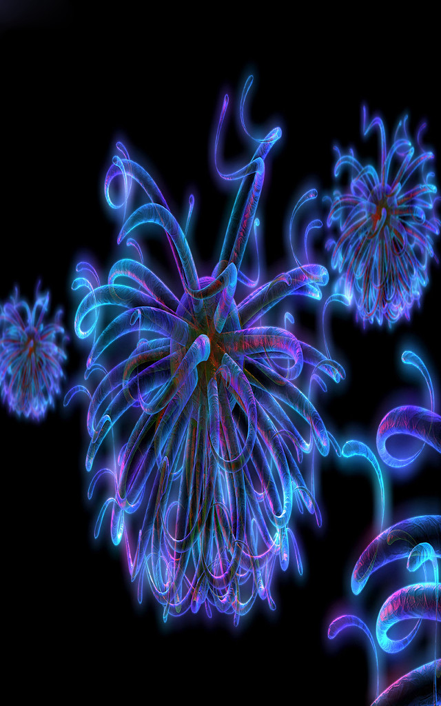 Blue pink lighted flower petals free wallpaper for mobile - medium preview image