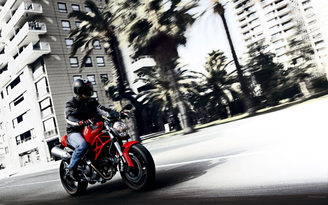 Man motorcycle street tallbuildings palm free wallpaper for desktop - medium preview image