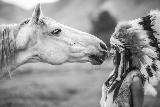 Native american woman horse field free wallpaper for desktop - medium preview image