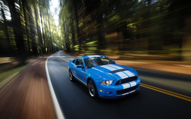 Blue car driving road forest #6 free wallpaper for desktop - medium preview image