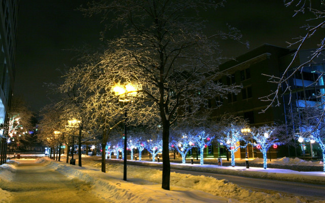 Snowy street night streetlight trees free wallpaper for desktop - medium preview image