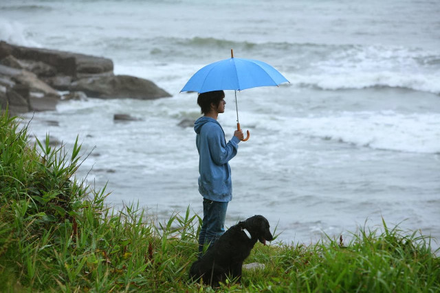 Beach umbrella dog ocean rainy free wallpaper for desktop - medium preview image