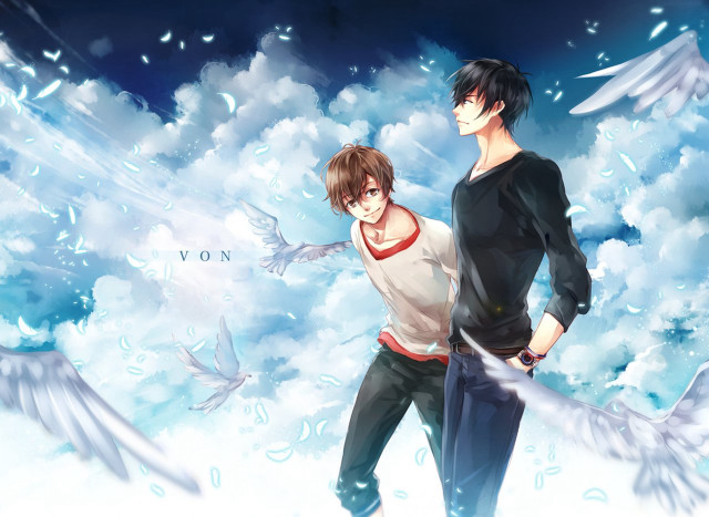 Two people clouds birds flying free wallpaper for desktop - medium preview image