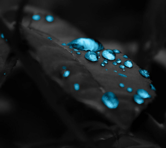 Leaf blue water droplets surface free wallpaper for tablet - medium preview image