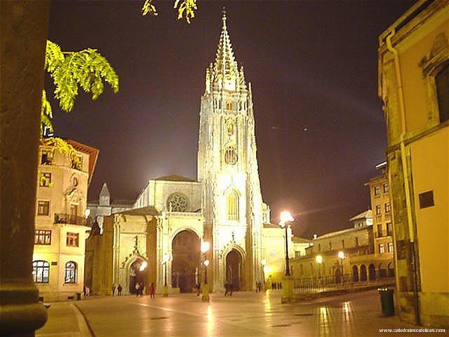 Cathedral night people walking tree free wallpaper for desktop - medium preview image