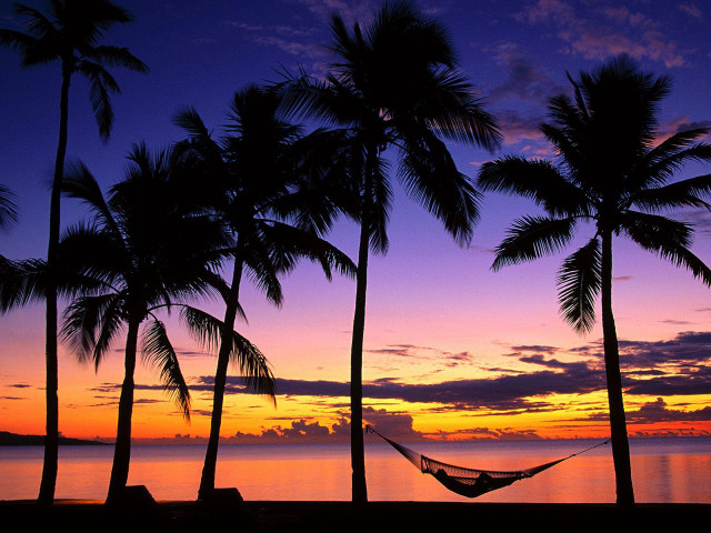 Hammock palm trees sunset beach free wallpaper for desktop - medium preview image