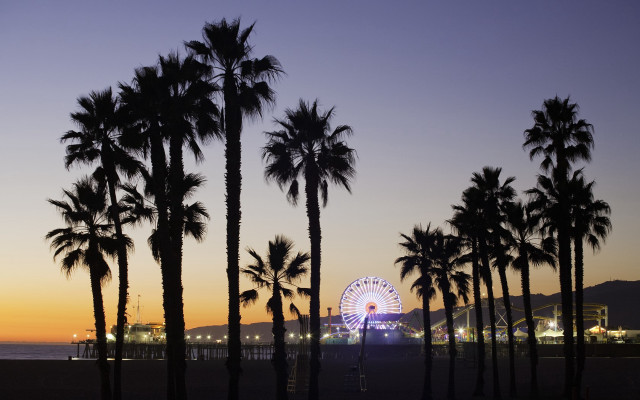 Ferris wheel palm trees dusk #2 free wallpaper for desktop - medium preview image