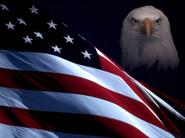 Bald eagle flag dark sky free wallpaper for desktop - medium preview image
