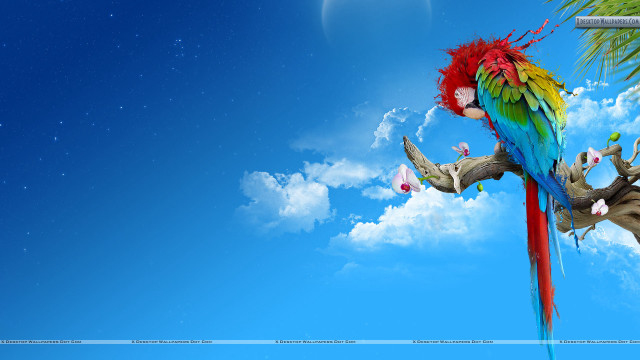 Colorful parrot branch tree blue free wallpaper for desktop - medium preview image