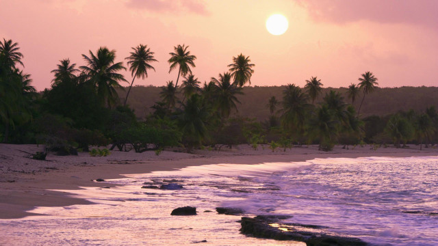 Beach sunset palm trees water free wallpaper for desktop - medium preview image