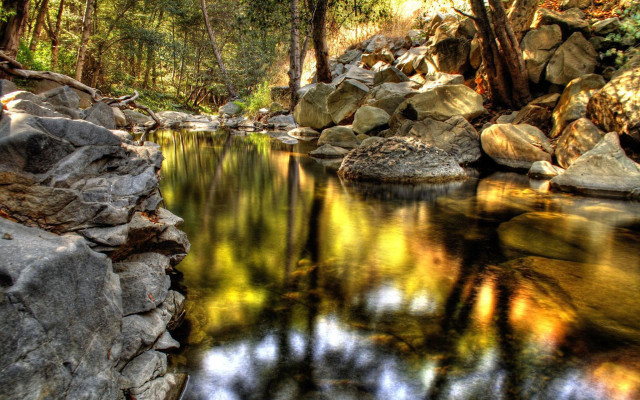Forest stream rocks trees reflection free wallpaper for desktop - medium preview image