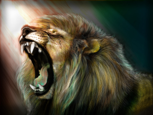 Lion mouth open teeth wide #4 free wallpaper for desktop - medium preview image
