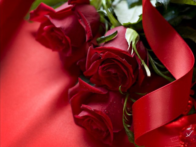Red roses bouquet ribbon blurry free wallpaper for desktop - medium preview image