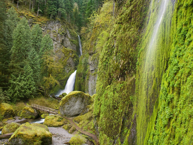 Waterfall bridge forest moss nature free wallpaper for desktop - medium preview image