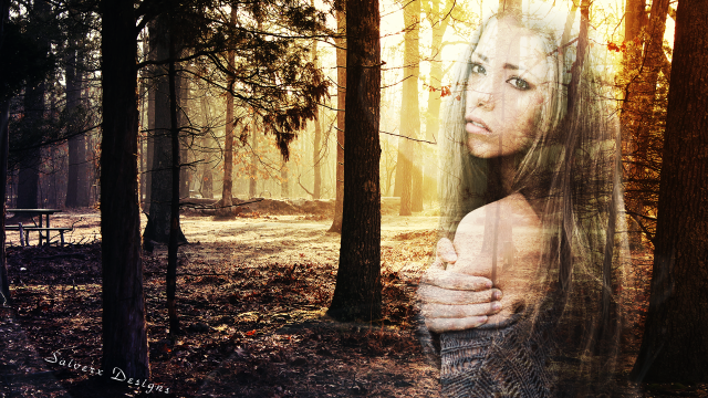 Woman forest bench background face free wallpaper for desktop - medium preview image