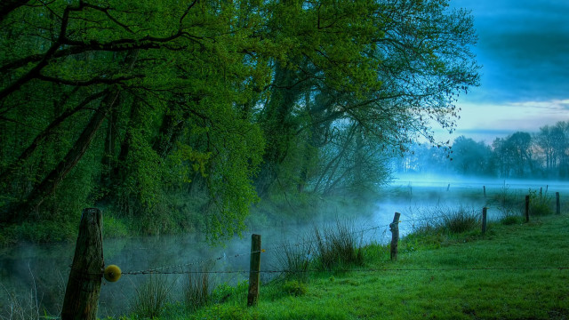 Foggy lake fence trees night free wallpaper for desktop - medium preview image
