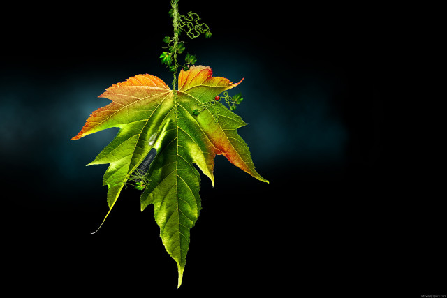 Green leaf yellow branch 3d free wallpaper for desktop - medium preview image
