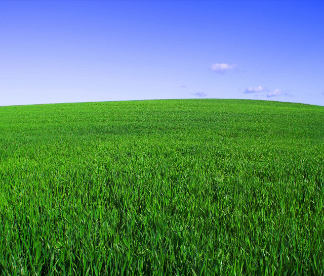 Green grass blue sky clouds #11 free wallpaper for desktop - medium preview image