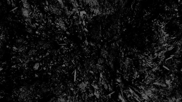 Dirt field leaves grass black free wallpaper for desktop - medium preview image