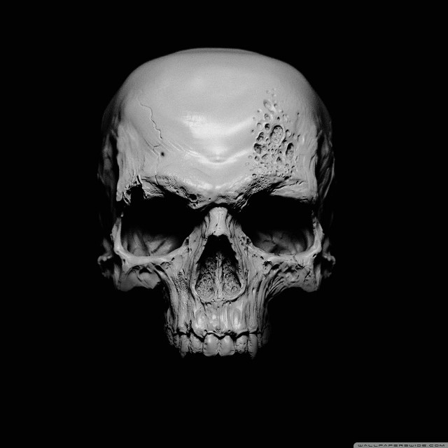 Skull black white photo background free wallpaper for tablet - medium preview image