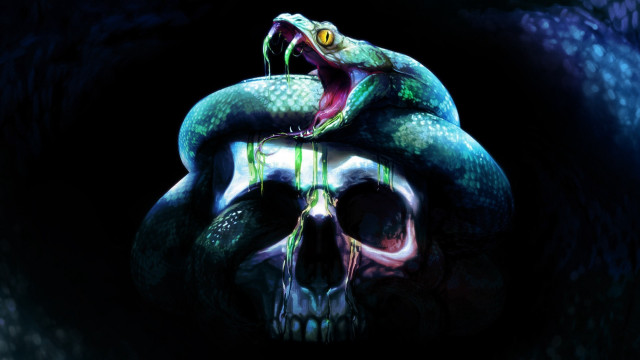 Skull snake head back coiling free wallpaper for desktop - medium preview image