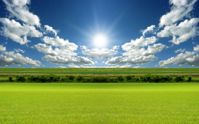 Sunlit field grass trees cityscape free wallpaper for desktop - medium preview image