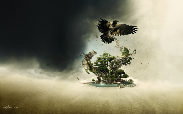 Bird flying small island ocean free wallpaper for desktop - medium preview image
