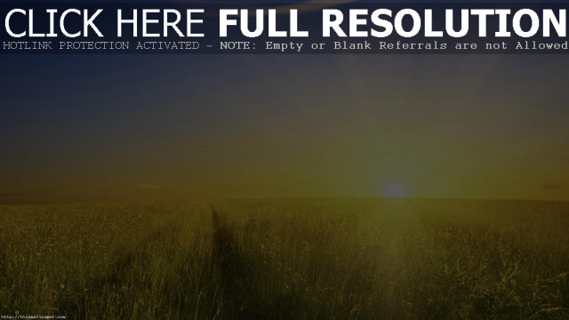 Field grass sunset background click free wallpaper for desktop - medium preview image
