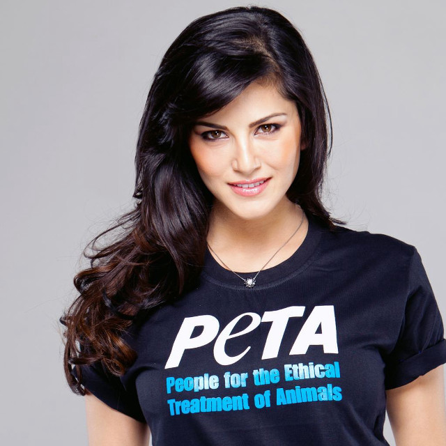 Peta tshirt dog necklace ella free wallpaper for tablet - medium preview image