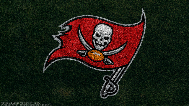 Football skull green field middle free wallpaper for desktop - medium preview image