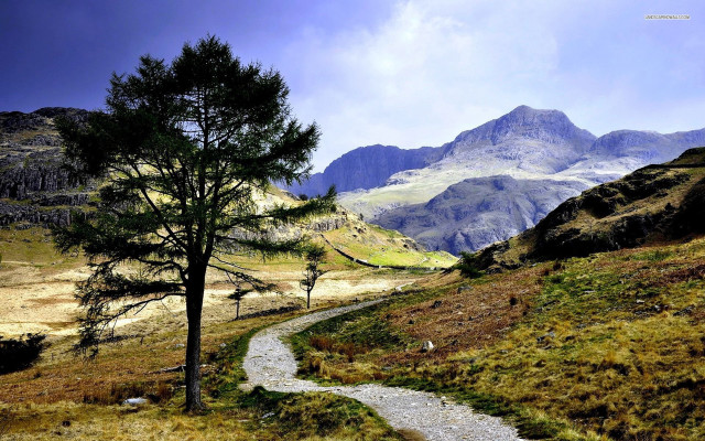 Winding path grassy valley mountains free wallpaper for desktop - medium preview image