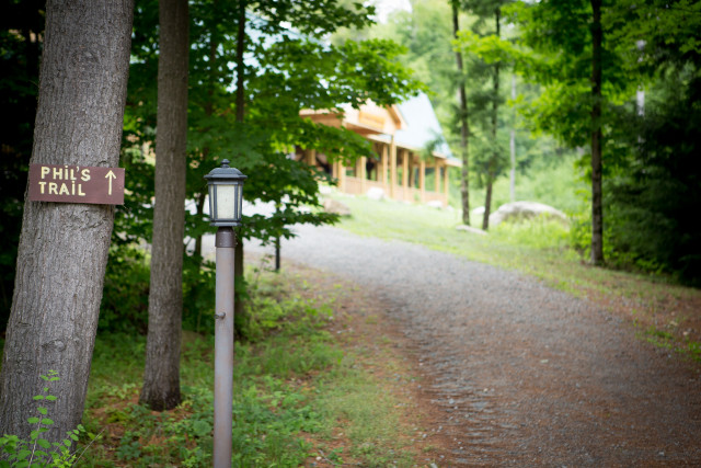 Trail sign tree road sheep free wallpaper for desktop - medium preview image