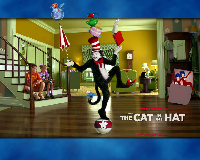 Cat hat playing ball room free wallpaper for desktop - medium preview image