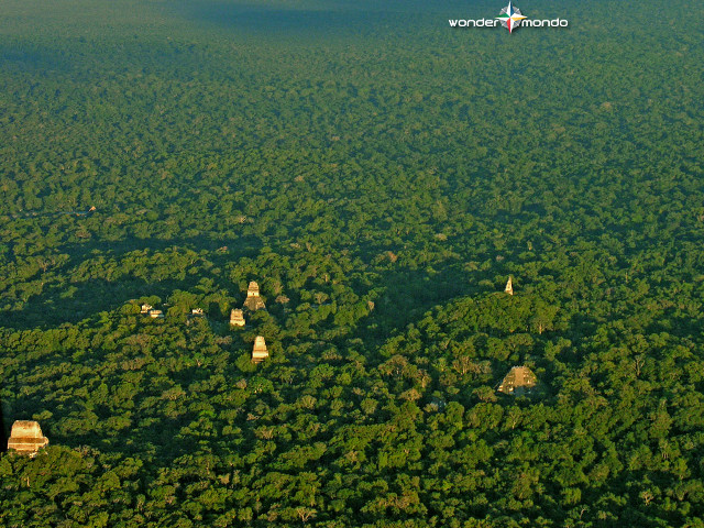 Forest sky plane tiltshift aerial free wallpaper for desktop - medium preview image