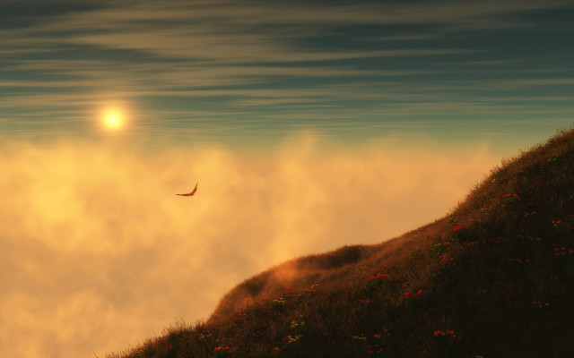 Bird flying hill sun clouds free wallpaper for desktop - medium preview image